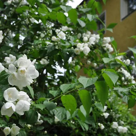 Majense Lägenhetshotell Merano