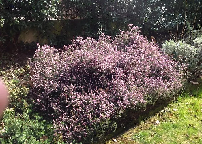 公寓式酒店 Majense