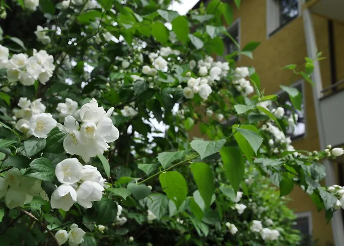 Majense شقة فندقية ميرانو