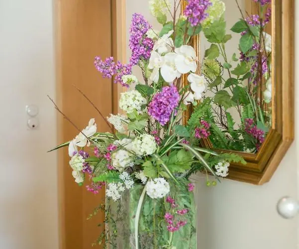 شقة فندقية Majense