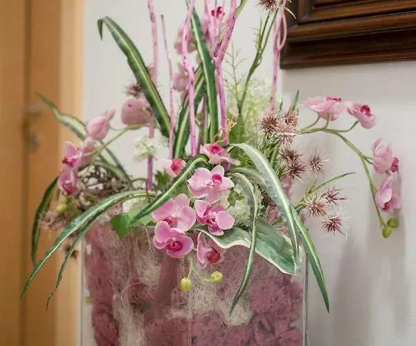 Majense 公寓式酒店 梅拉诺